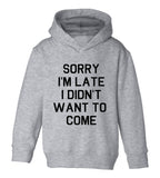 Sorry Im Late I Didnt Want To Come Toddler Boys Pullover Hoodie Grey