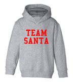 Team Santa Christmas Toddler Boys Pullover Hoodie Grey