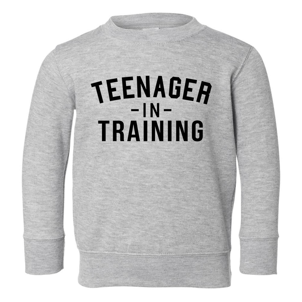 Teenager In Training Toddler Boys Crewneck Sweatshirt Grey