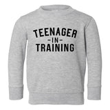 Teenager In Training Toddler Boys Crewneck Sweatshirt Grey