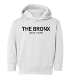 The Bronx New York Fashion Toddler Boys Pullover Hoodie White