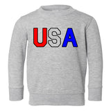 USA Toddler Boys Crewneck Sweatshirt Grey