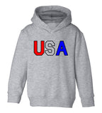 USA Toddler Boys Pullover Hoodie Grey