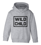Wild Child Box Logo Toddler Boys Pullover Hoodie Grey