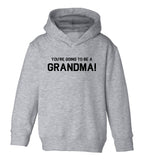 Youre Going To Be A Grandma Toddler Boys Pullover Hoodie Grey