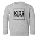 Big Kids Streetwear Logo Toddler Kids Sweatshirt in Grey