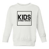 Big Kids Streetwear Logo Toddler Kids Sweatshirt in White