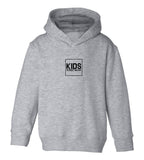 Small Kids Streetwear Logo Toddler Kids Pullover Hoodie Hoody in Grey