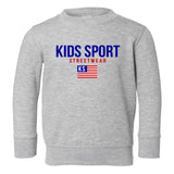 Kids Sport Streetwear Toddler Kids Sweatshirt in Grey