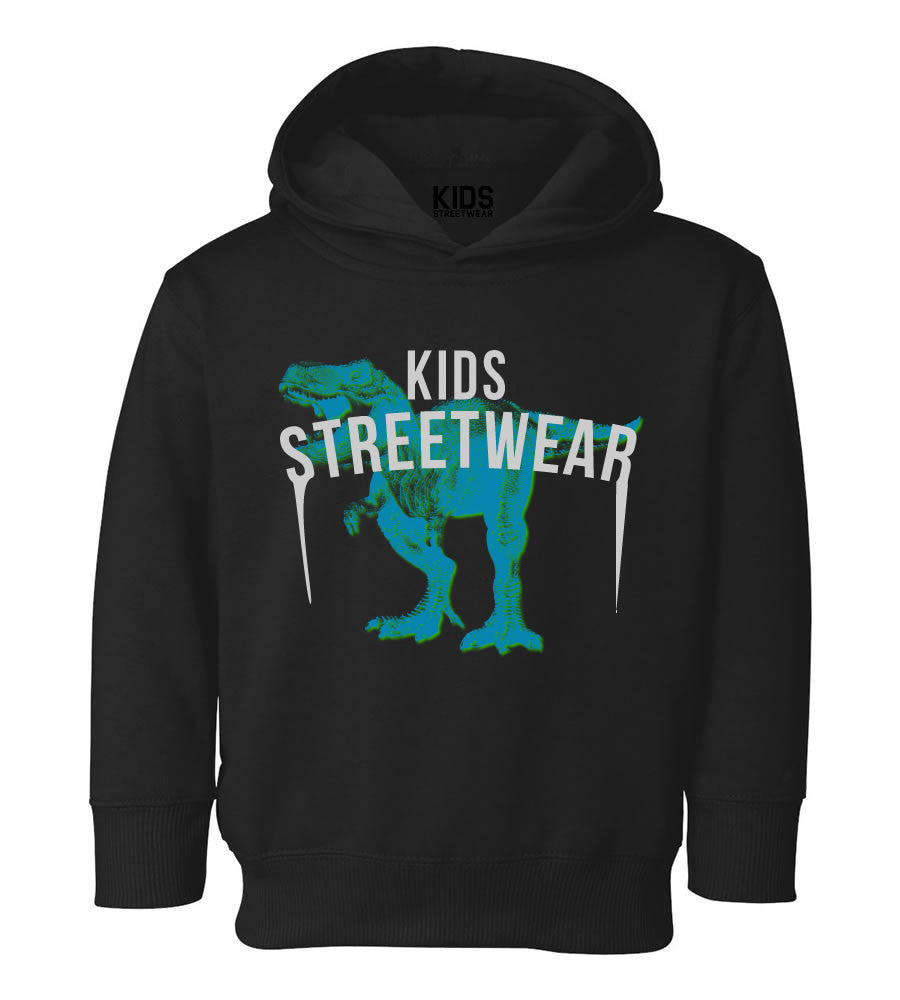 T-Rex Dinosaur Streetwear Toddler Kids Pullover Hoodie Hoody in Black