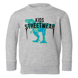 T-Rex Dinosaur Streetwear Toddler Kids Sweatshirt in Grey