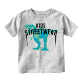 T-Rex Dinosaur Streetwear Infant Toddler Kids T-Shirt in Grey
