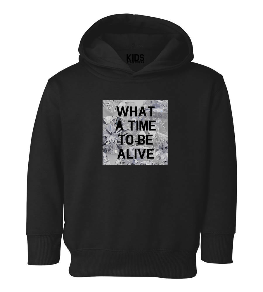 What A Time To Be Alive Toddler Kids Pullover Hoodie Hoody in Black