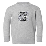 What A Time To Be Alive Toddler Kids Sweatshirt in Grey
